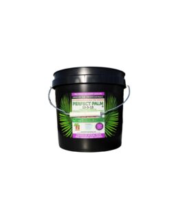Perfect Palm Palm Tree Fertilizer - Easy-To-Carry Pail