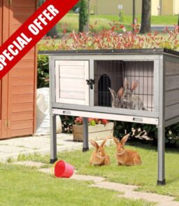 Elevated Wooden Rabbit Hutch With Removable Tray - Grey