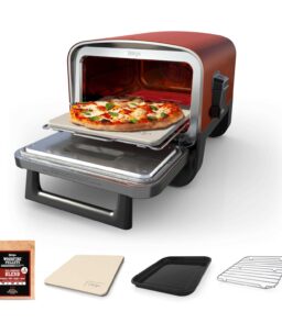 Ninja Woodfire 8-in-1 Outdoor Pizza Oven - Stainless