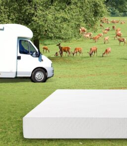 EGO 8 Inch Short Queen Memory Foam RV Mattress. White. 60 x 75 Inch. Medium Firm