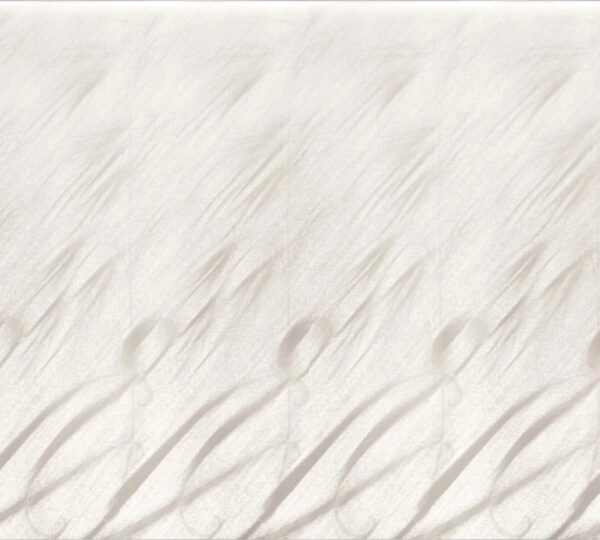 829ad8a0-f22b-57af-a051-18802364def0.jpg