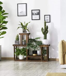 Wooden Plant Display Stand - Fir Wood