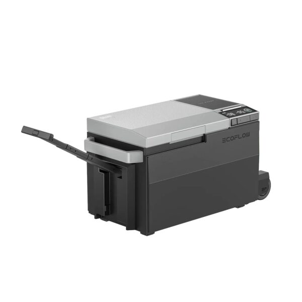 a9809ae9-f926-5f6a-aa40-eee7090d13bc.jpg