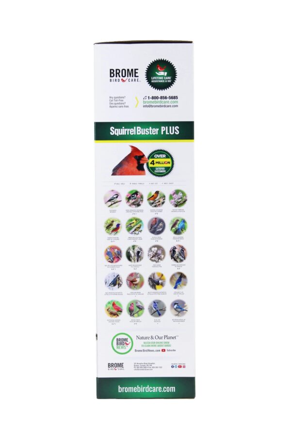 d1750de6-fe84-5389-9cd4-50cf3b45e703.jpg
