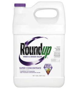 Roundup Super Concentrate Weed & Grass Killer - 50% Concentrated Formula