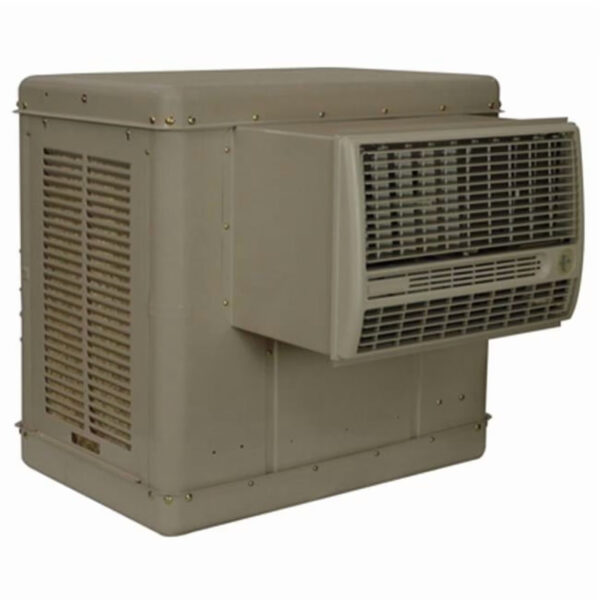 e9df6ad8-ce4f-50bf-b4ce-73d45ba34e56.jpg